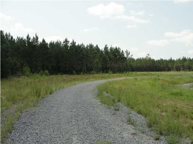 6 Emerson Dr, Cainhoy, SC 29492