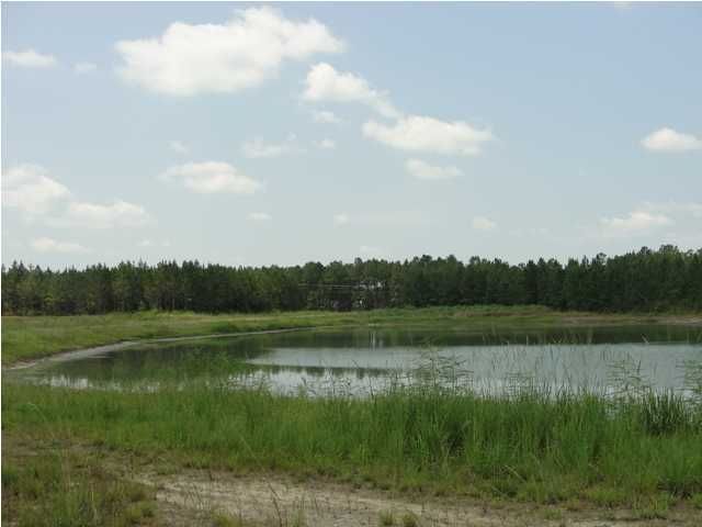 6 Emerson Dr, Cainhoy, SC 29492