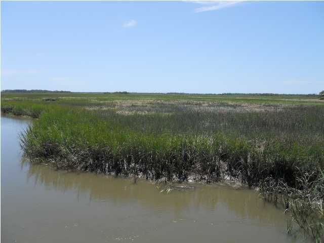 2583 Winnies Way, Johns Island, SC 29455