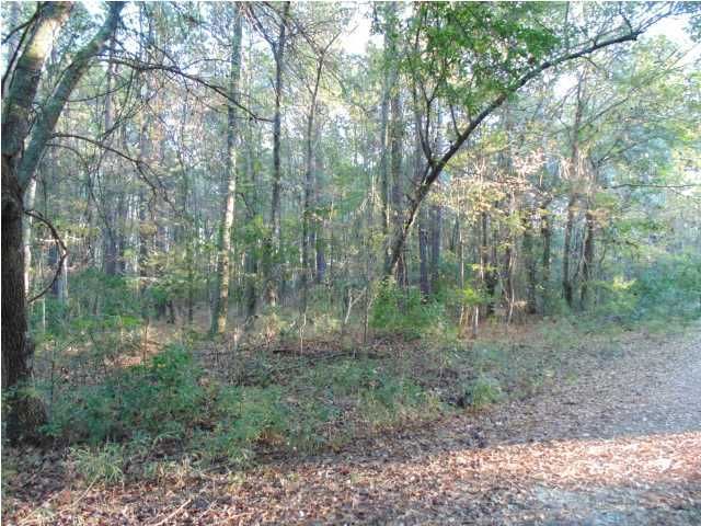 0 River Reach Dr, Wando, SC 29492