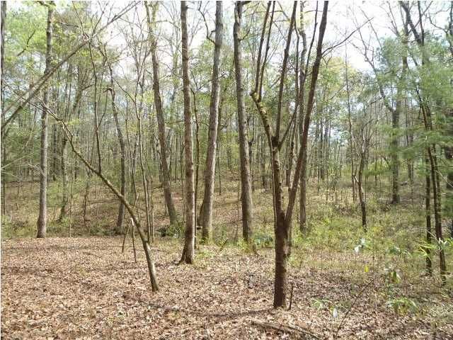 1 Wragg Ln, Summerville, SC 29483