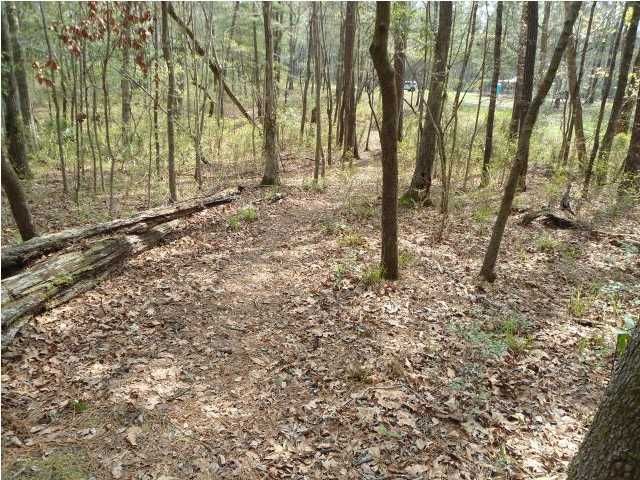 1 Wragg Ln, Summerville, SC 29483