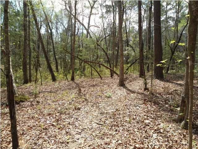1 Wragg Ln, Summerville, SC 29483