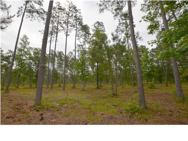 0 Audrey Ln, Mcclellanville, SC 29458