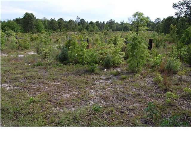 1065 Viper Rd, Pineville, SC 29468