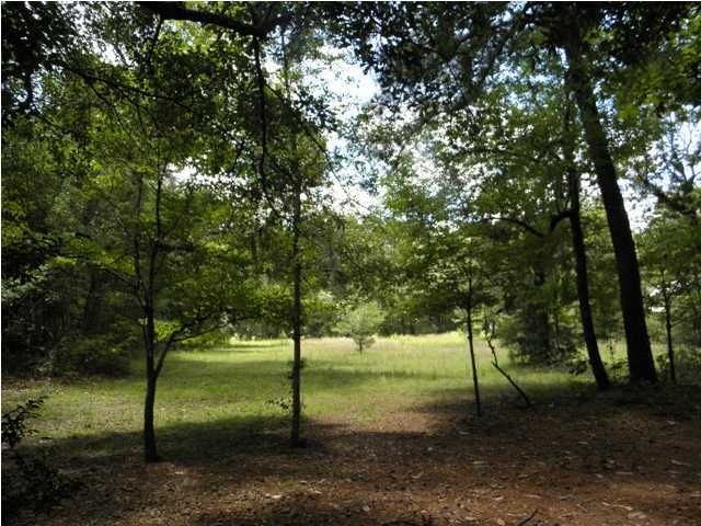 1868 River Rd, Johns Island, SC 29455