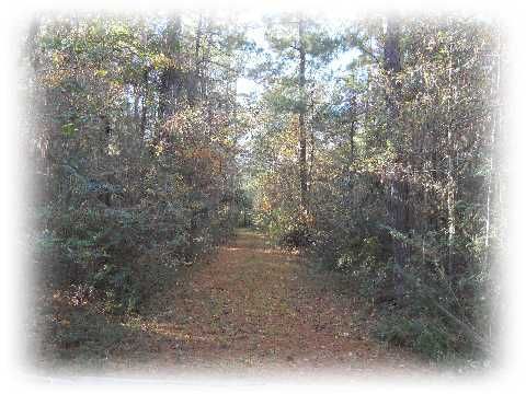 1365 Jedburg Rd, Summerville, SC 29483