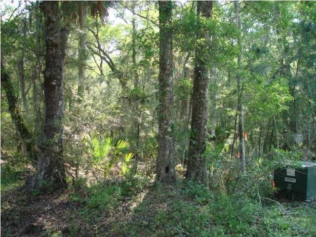 7865 Edingsville Beach Rd, Edisto Island, SC 29438