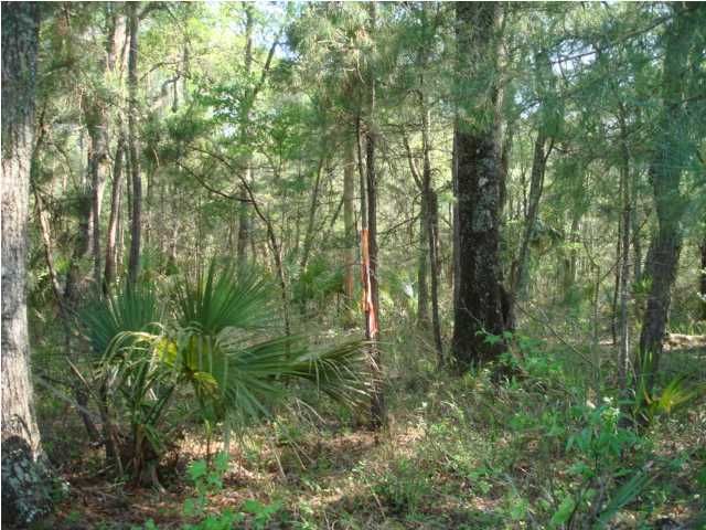 7865 Edingsville Beach Rd, Edisto Island, SC 29438