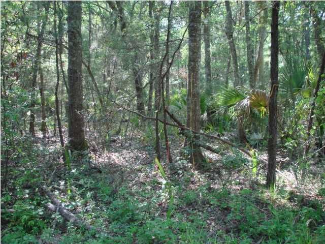 7865 Edingsville Beach Rd, Edisto Island, SC 29438