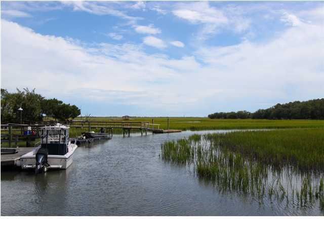 925 Parrot Creek Way, Charleston, SC 29412