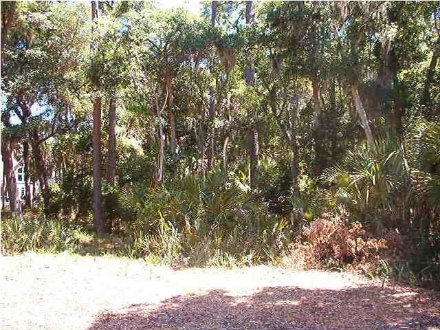 3241 Seabrook Island Rd, Seabrook Island, SC 29455