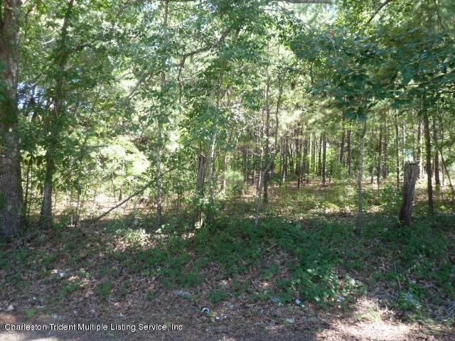 7416 Church Hill Rd, Hollywood, SC 29449