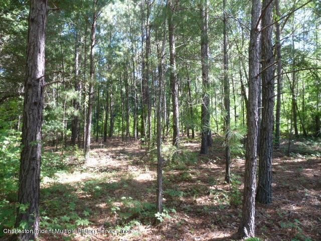 7416 Church Hill Rd, Hollywood, SC 29449