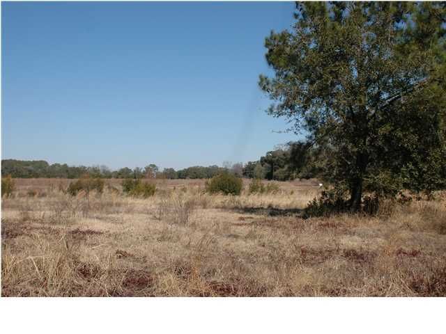 13 Jenkins Hill Rd, Edisto Island, SC 29438