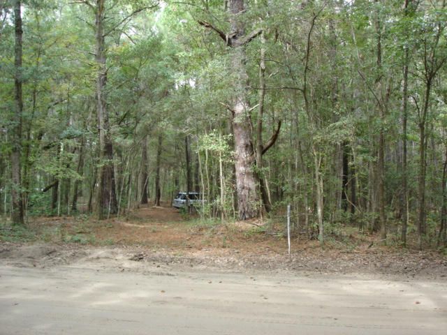 7375 Jenkins Hill Rd, Edisto Island, SC 29438