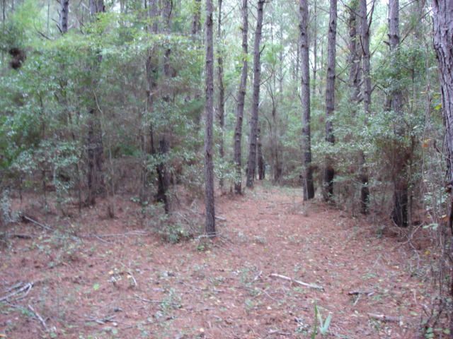 7375 Jenkins Hill Rd, Edisto Island, SC 29438