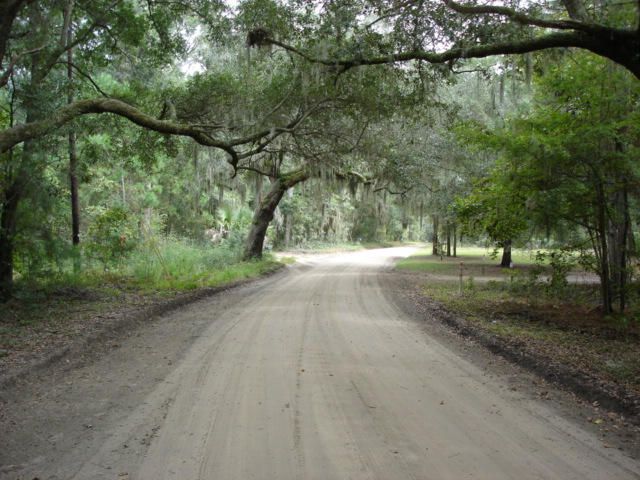 7375 Jenkins Hill Rd, Edisto Island, SC 29438