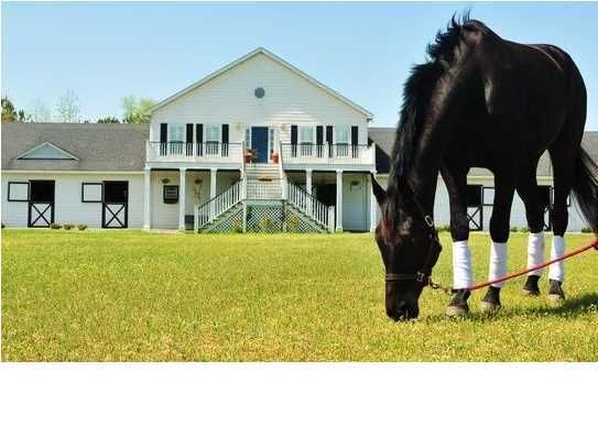 160 Seahorse Ln, Huger, SC 29450