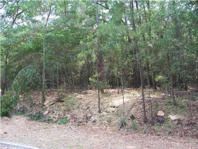 2249 Laurel Hill Rd, Edisto Island, SC 29438