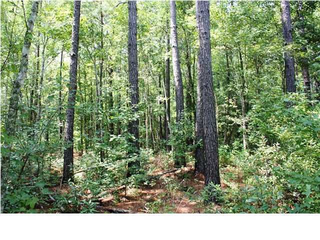 0 Clubhouse Rd, Jamestown, SC 29453