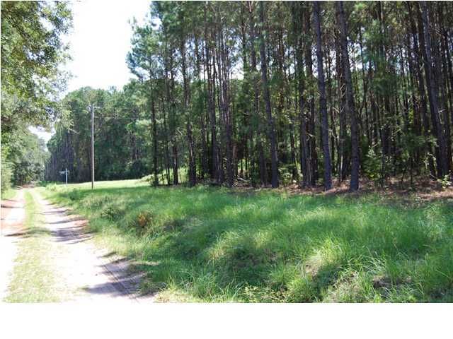0 Church Pl, Johns Island, SC 29455