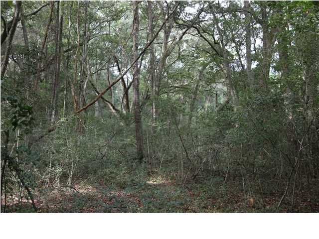 7783 Eddingsville Beach Rd, Charleston, SC 29438