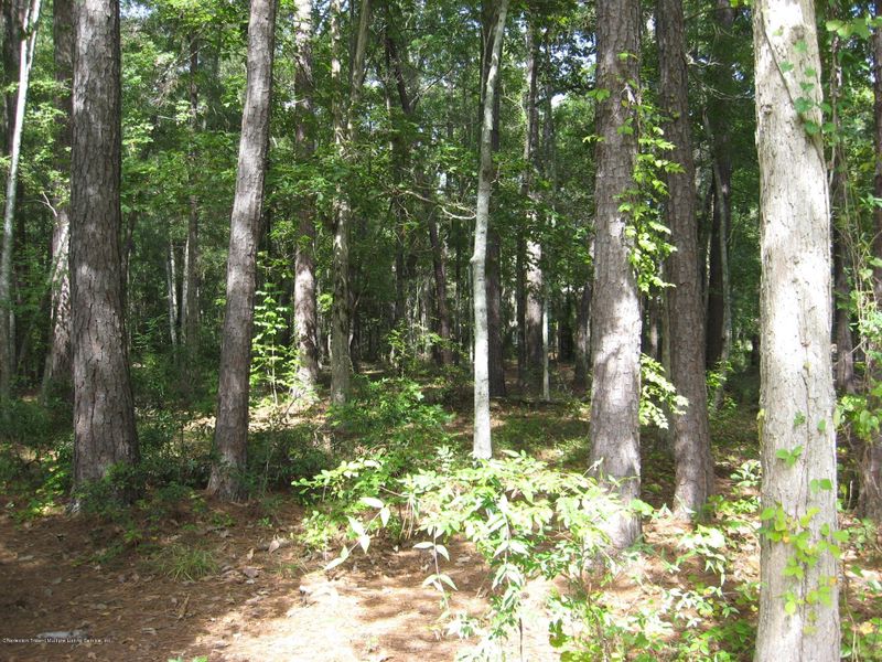 550 Barfield Dr, Summerville, SC 29485