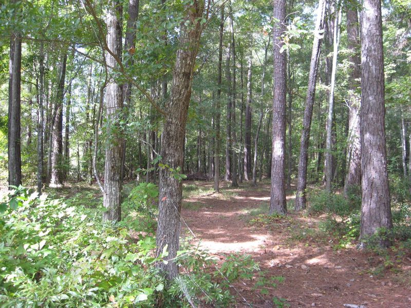 550 Barfield Dr, Summerville, SC 29485