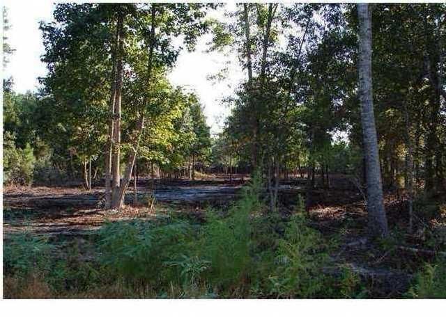 0 Tannanger Trl, Awendaw, SC 29429