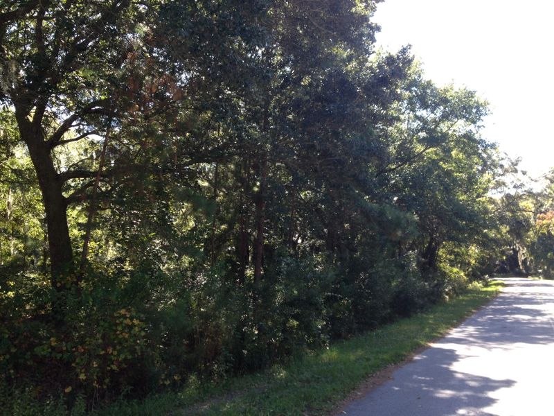 0 Periwinkle Dr, Mount Pleasant, SC 29466
