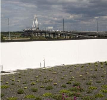 1-135 Cool Blow St #135, Charleston, SC 29403