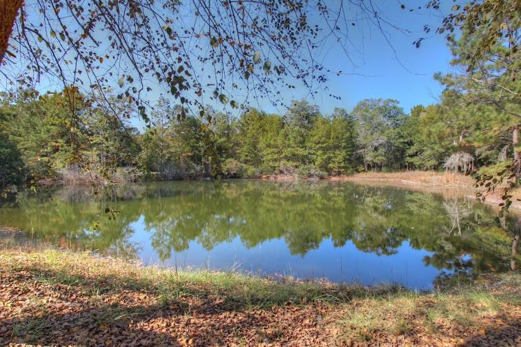 6650 Old Jacksonboro Rd, Ravenel, SC 29470
