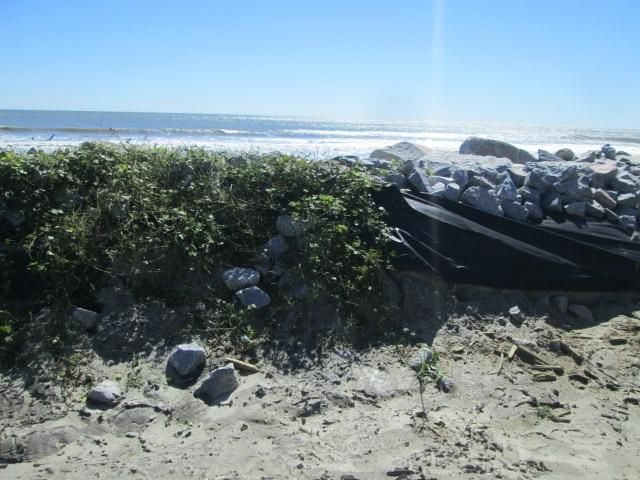 102 Sumter Dr, Folly Beach, SC 29439