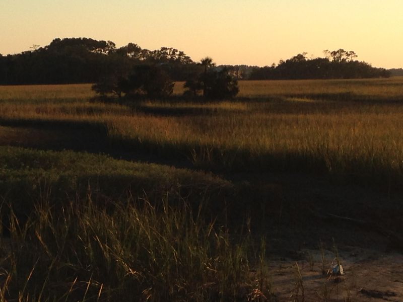 1942 Marsh Oak Ln, Seabrook Island, SC 29455
