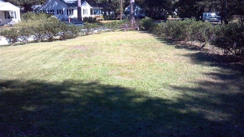 2149 Welch Ave, Charleston, SC 29412