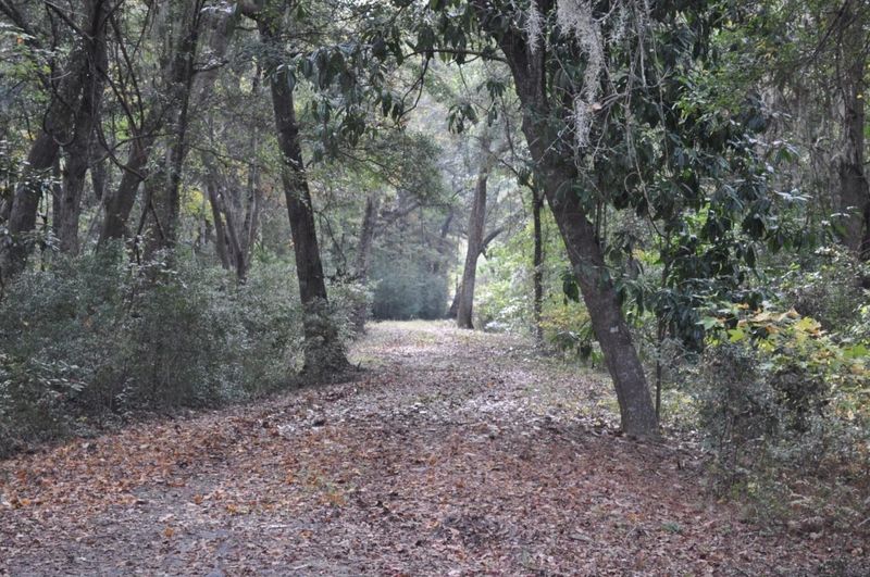 18 Black Swamp Rd, Johns Island, SC 29455