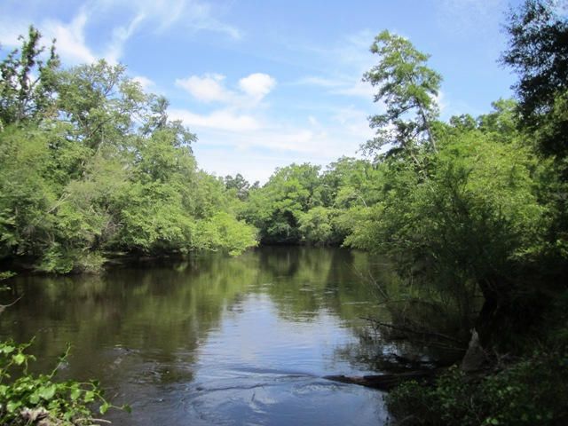 0 Edisto River Rd, Saint George, SC 29477