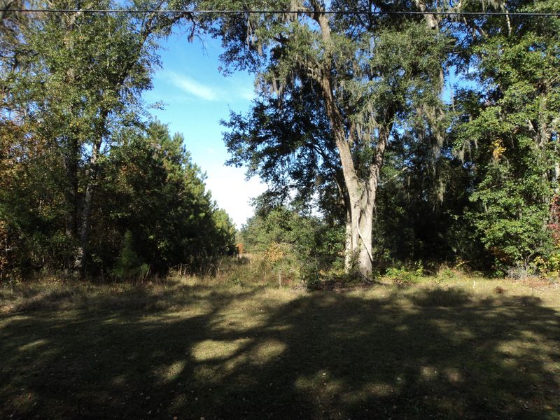 2 Liberia Rd, Wadmalaw Island, SC 29487