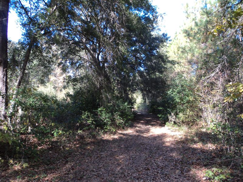 2 Liberia Rd, Wadmalaw Island, SC 29487