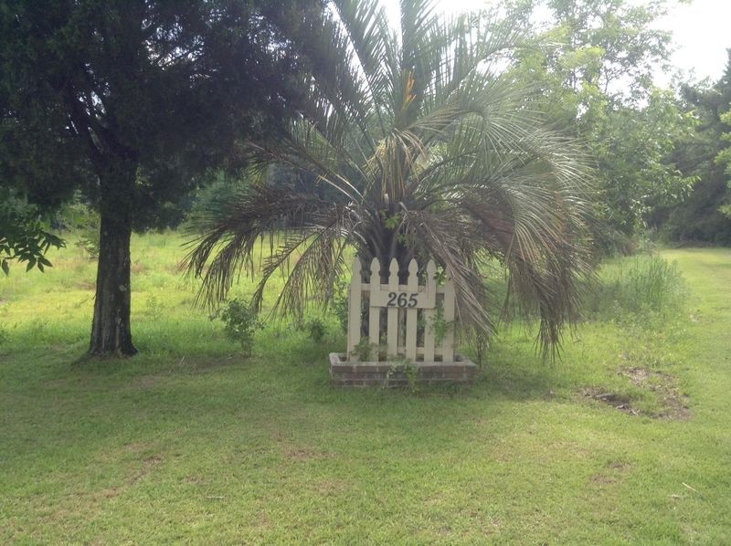 265 Delee Rd, Ridgeville, SC 29472