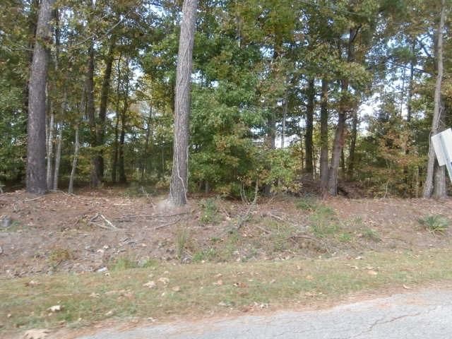 137 Blossom Steet, Goose Creek, SC 29445