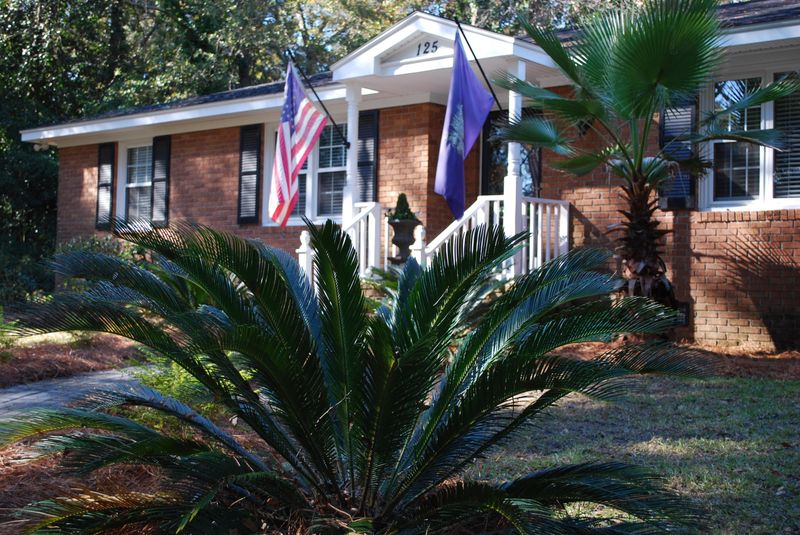 125 E Johnston St, Summerville, SC 29483