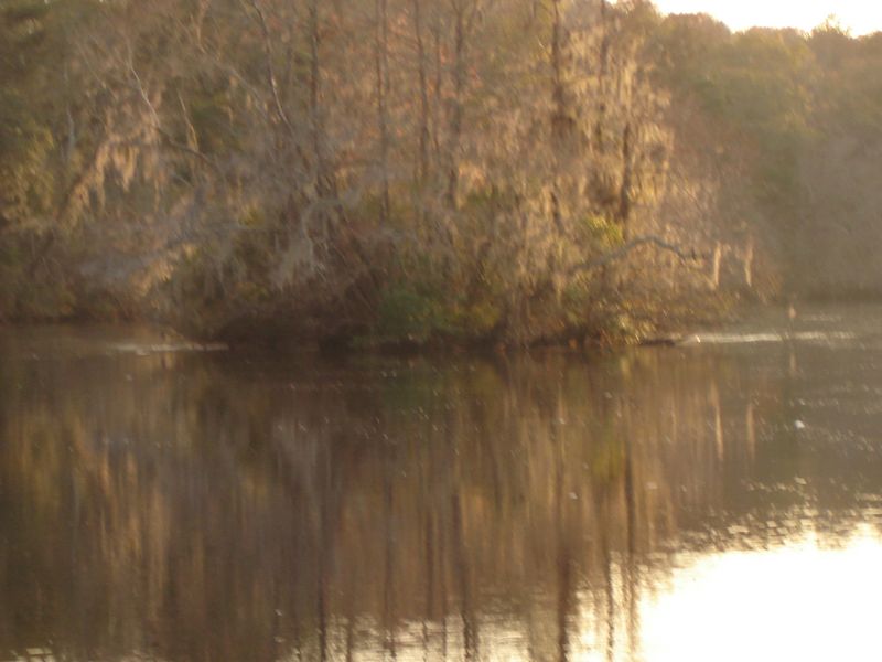 8 Savannah Hwy, Adams Run, SC 29426