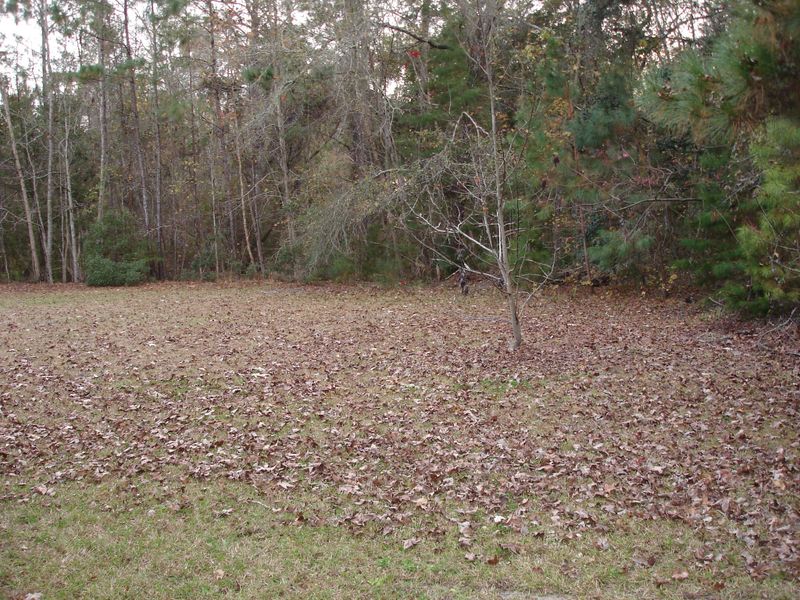 8 Savannah Hwy, Adams Run, SC 29426