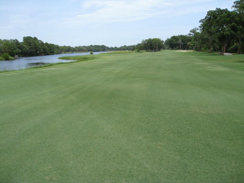 118 Osprey Point Ln, Kiawah Island, SC 29455