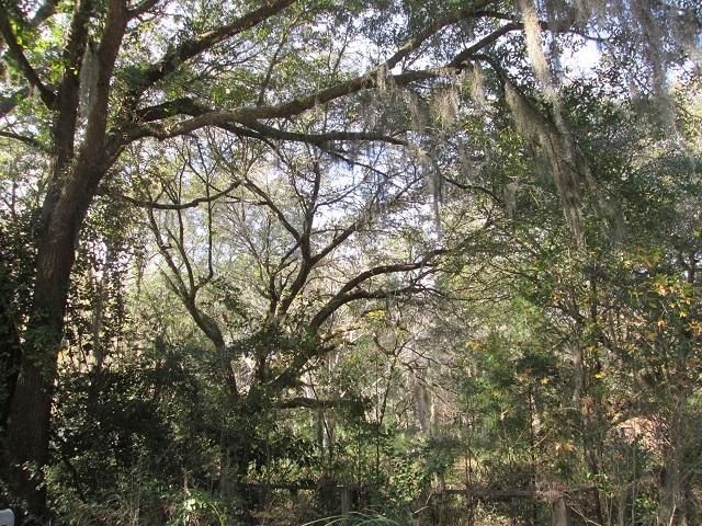 6073 Chisolm Rd, Johns Island, SC 29455