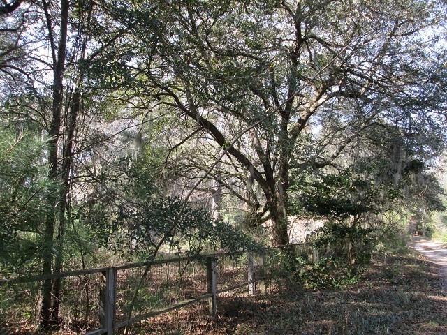 6073 Chisolm Rd, Johns Island, SC 29455
