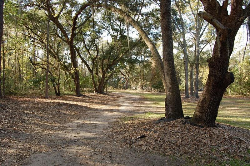 1309 Dogpatch Ln, Johns Island, SC 29455