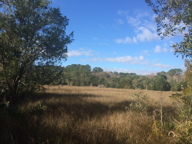 1605 Sewee Fort Rd, Mount Pleasant, SC 29466